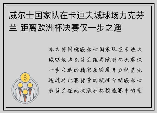 威尔士国家队在卡迪夫城球场力克芬兰 距离欧洲杯决赛仅一步之遥 威尔士国家队在卡迪夫城球场力克芬兰 距离欧洲杯决赛仅一步之遥