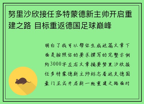 努里沙欣接任多特蒙德新主帅开启重建之路 目标重返德国足球巅峰 努里沙欣接任多特蒙德新主帅开启重建之路 目标重返德国足球巅峰